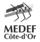 logo MEDEF