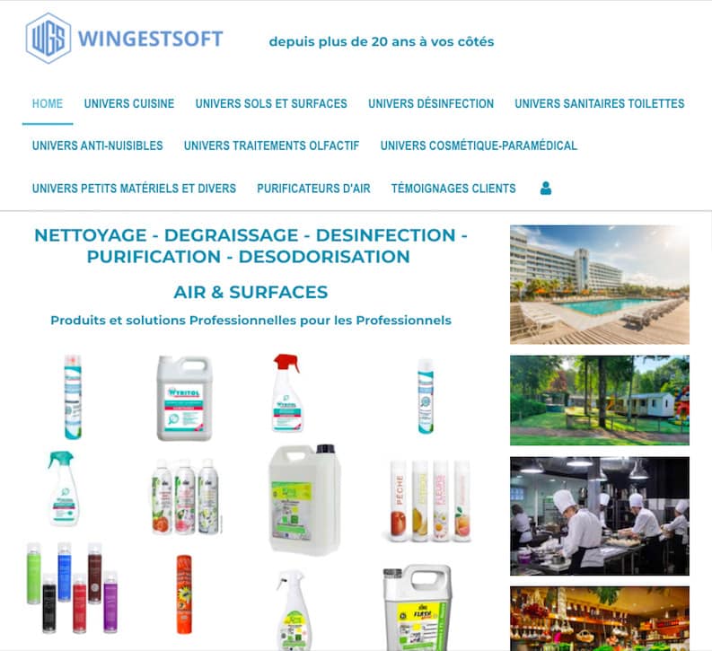 le site web de l'entreprise wingestsoft